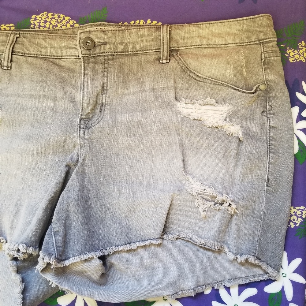 Torrid shorts